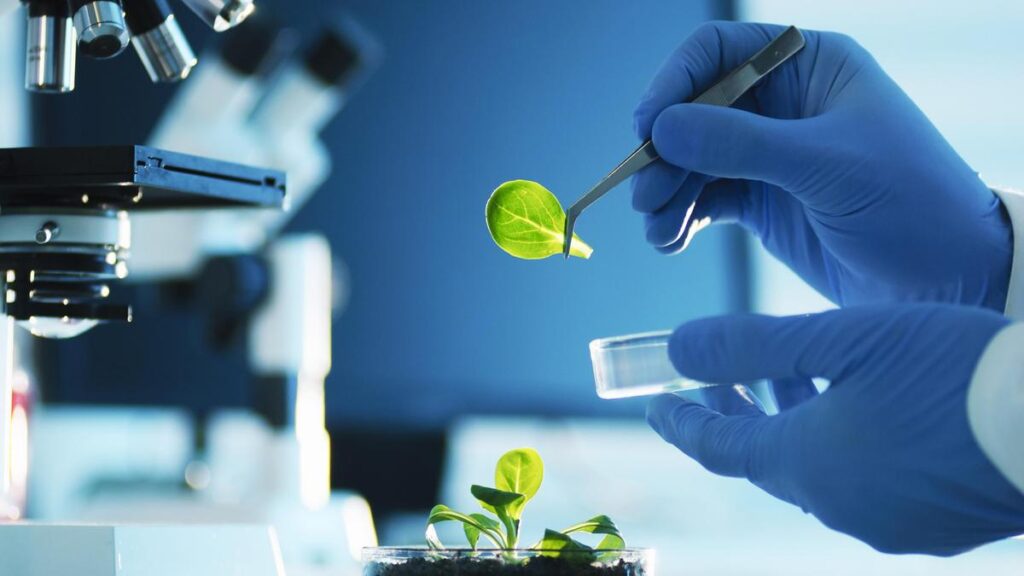 BL11_Think_biotech.jpg
