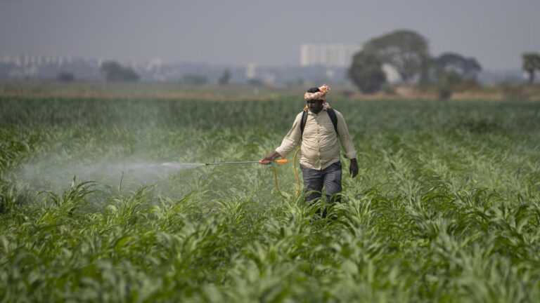 Climate_Resilient_Farming_60493.jpg