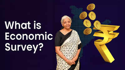 budget-economic-survey.jpg
