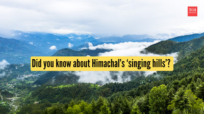 did-you-know-about-himachals-singing-hills.jpg