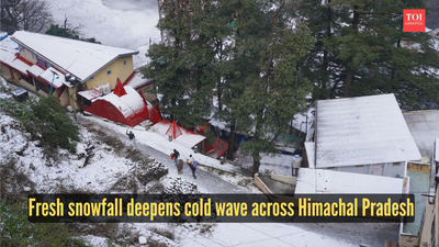 fresh-snowfall-deepens-cold-wave-across-himachal-pradesh.jpg