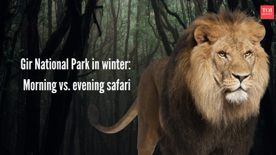 gir-national-park.jpg