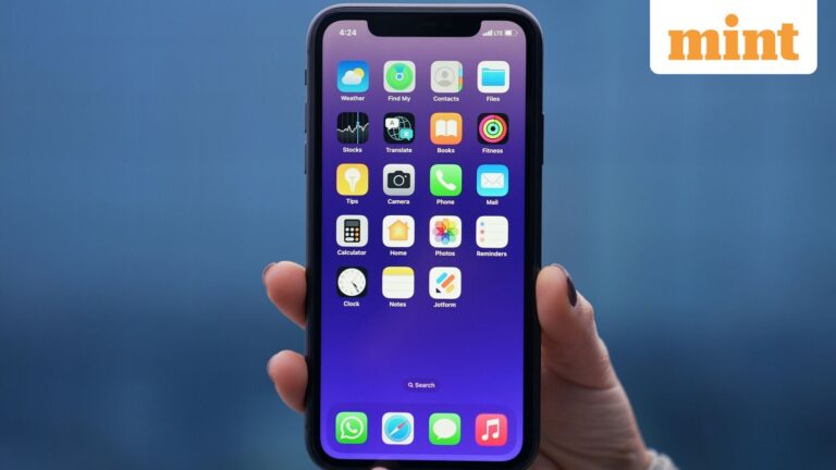 iPhone_11_Pro_Max_1759329315322_1759329315529_1767249292141.jpg