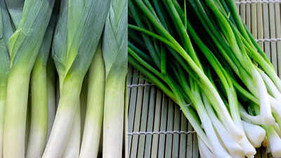 leek-vs-green-onion-key-differences-every-home-cook-should-know.jpg