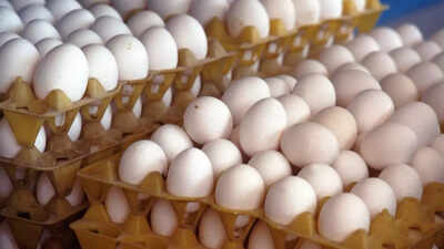 real-egg-vs-fake-egg-how-to-identify-plastic-eggs-without-breaking-them.jpg