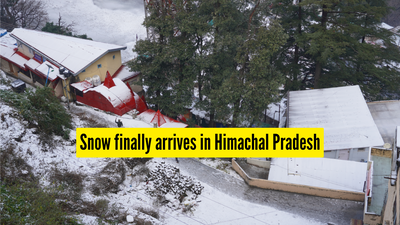 snow-finally-arrives-in-himachal-pradesh.jpg