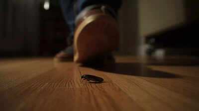 squashing-a-cockroach-in-your-home-can-be-dangerous-know-the-reason.jpg