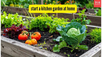 start-a-kitchen-garden-at-home.jpg