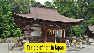 temple-of-hair-in-japan.jpg