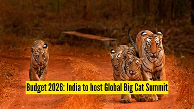 budget-2026-india-to-host-global-big-cat-summit.jpg