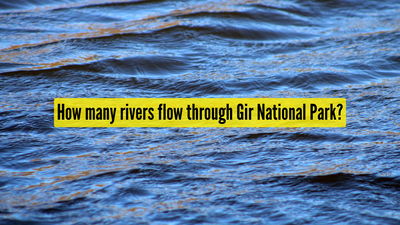 how-many-rivers-flow-through-gir-national-park.jpg