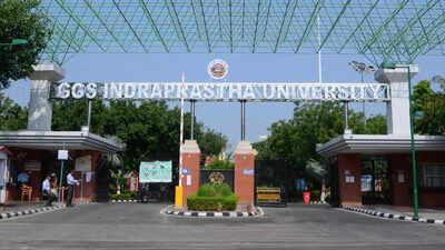ip-university-admissions-2024.jpg