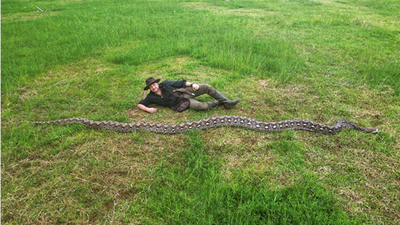 longest-snake.jpg