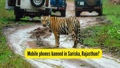 mobile-phones-banned-in-sariska-rajasthan.jpg
