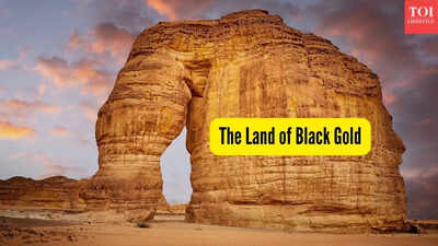 the-land-of-black-gold.jpg