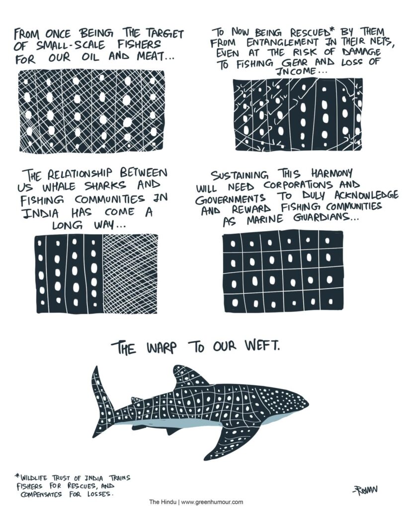 whale20shark20and20fishers20panel20copy.jpg