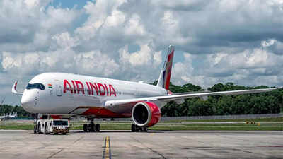 air-india-adds-more-flight-to-meet-demands-file.jpg