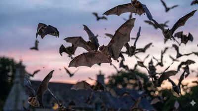 ever-wondered-why-bats-keep-returning-to-your-garden-after-dark-heres-the-surprising-secret-they-hol.jpeg