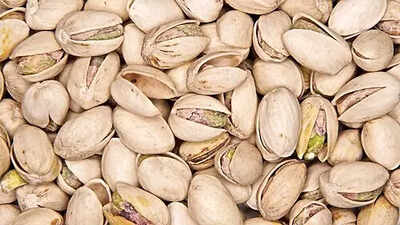 grow-a-pistachio-plant-at-home-the-right-way-to-build-your-own-mini-garden.jpg