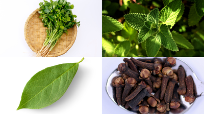 grow-these-5-spice-plants-at-home-low-maintenance-big-flavour-boost-for-your-kitchen.jpg