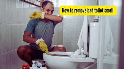 how-to-remove-bad-toilet-smell.jpg