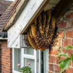 identify-honey-bee-nest-around-home-ai-image-generated-via-google-gemini.jpg