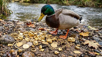 this-chinese-villager-found-10-grams-of-gold-inside-a-duck-worth-1800-sparking-viral-sensation-onlin.jpeg