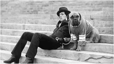 before-rockys-success-sylvester-stallone-sold-his-dog-for-40-for-survival.jpg