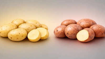 chandramukhi-vs-jyoti-potatoes-texture-taste-price-and-best-uses-that-can-completely-change-your-ben.jpeg