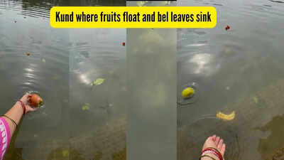 kund-where-fruits-float-and-bel-leaves-sink.jpg