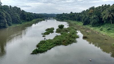 kunthipuzha-the-silent-river-of-india-flowing-through-keralas-untouched-wilderness.jpg