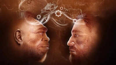 scientists-uncover-110000-year-old-evidence-in-israel-of-humans-and-neanderthals-working-together.jp_.jpeg