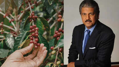 why-is-anand-mahindra-still-emotionally-connected-to-a-60-acre-coffee-plantation-from-his-childhood.jpeg
