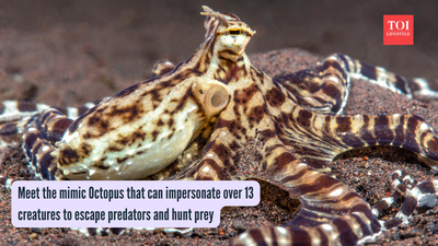 130671898.jpg