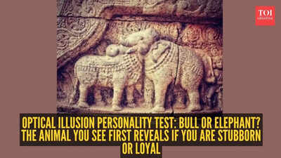 bull-elephant.jpg