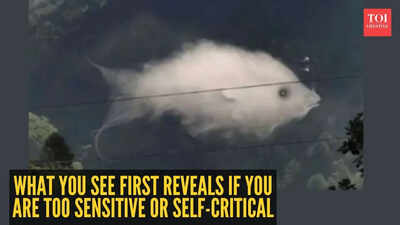 fish-cloud-1.jpg