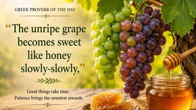 greek-proverb-of-the-day.jpg