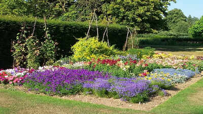 how-to-stop-a-sunny-garden-border-from-looking-washed-out-by-late-summer.jpg