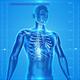 human-skeleton-163715_1920.jpg