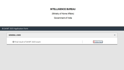 ib-security-assistant-final-result-2026.jpg