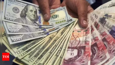 indias-forex-reserves-rise-to-65809-billion.jpg