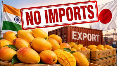 mango-exports.jpg