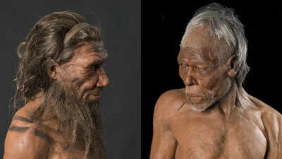 neanderthals-vs-homo-sapiens-what-separated-modern-humans-from-their-ancient-cousins.jpg