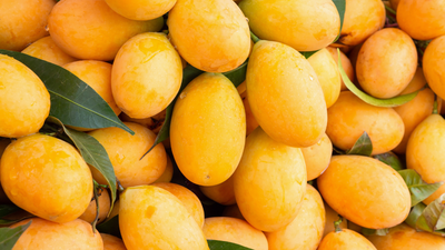 what-is-the-ideal-storage-temperature-to-make-mangoes-last-up-to-3-weeks-without-spoilage.jpg
