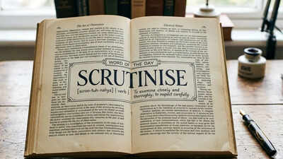word-of-the-day-scrutinise.jpg