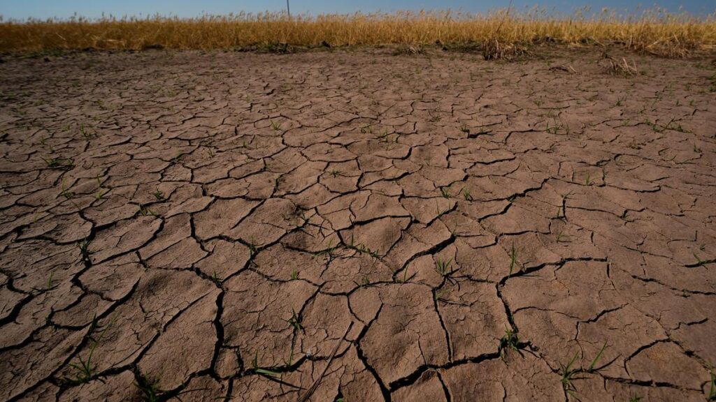 Climate_El_Nino_51669.jpg