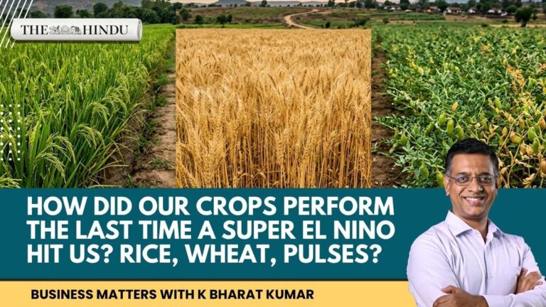How20did20our20crops20perform20the20last20time20a20Super20El20Nino20hit20us20Rice20wh.jpeg