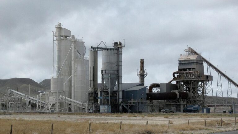 Lime_plant_Wyoming.jpg