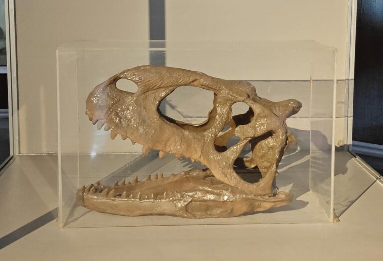 Theropod_Skull_E28093_Predator_of_the_Ancient_Waters.jpg