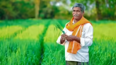 a-farmer-standing-in-the-field-file-photo.jpg